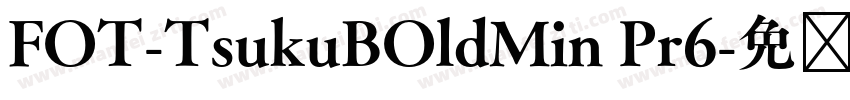 FOT-TsukuBOldMin Pr6字体转换